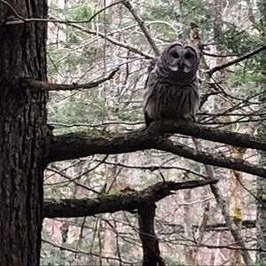 Meet your Posher, Dave